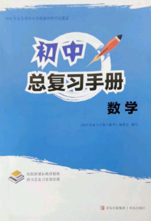 青島出版社2023初中總復(fù)習(xí)手冊(cè)九年級(jí)數(shù)學(xué)通用版參考答案