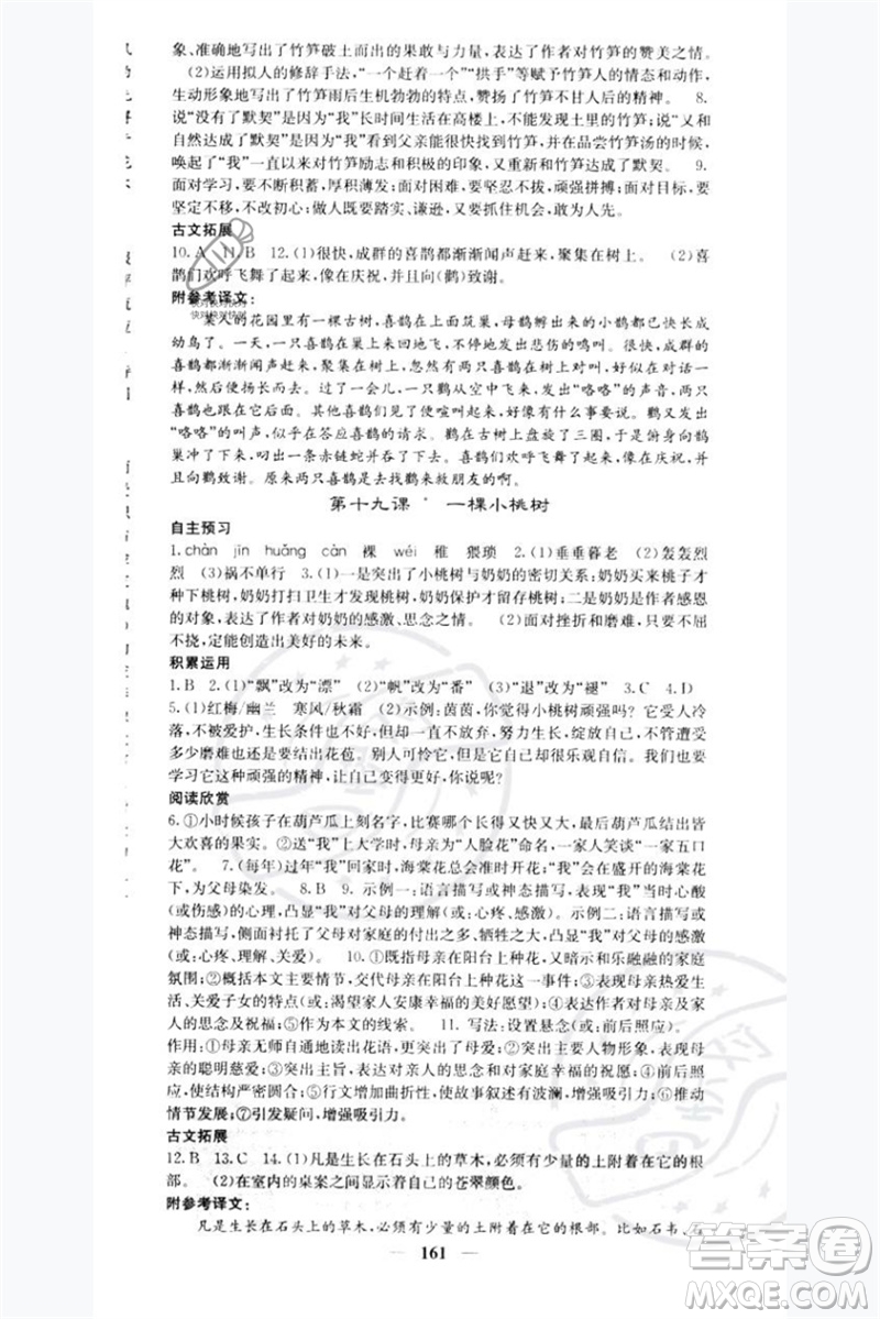 四川大學(xué)出版社2023名校課堂內(nèi)外七年級(jí)語(yǔ)文下冊(cè)人教版青島專版參考答案