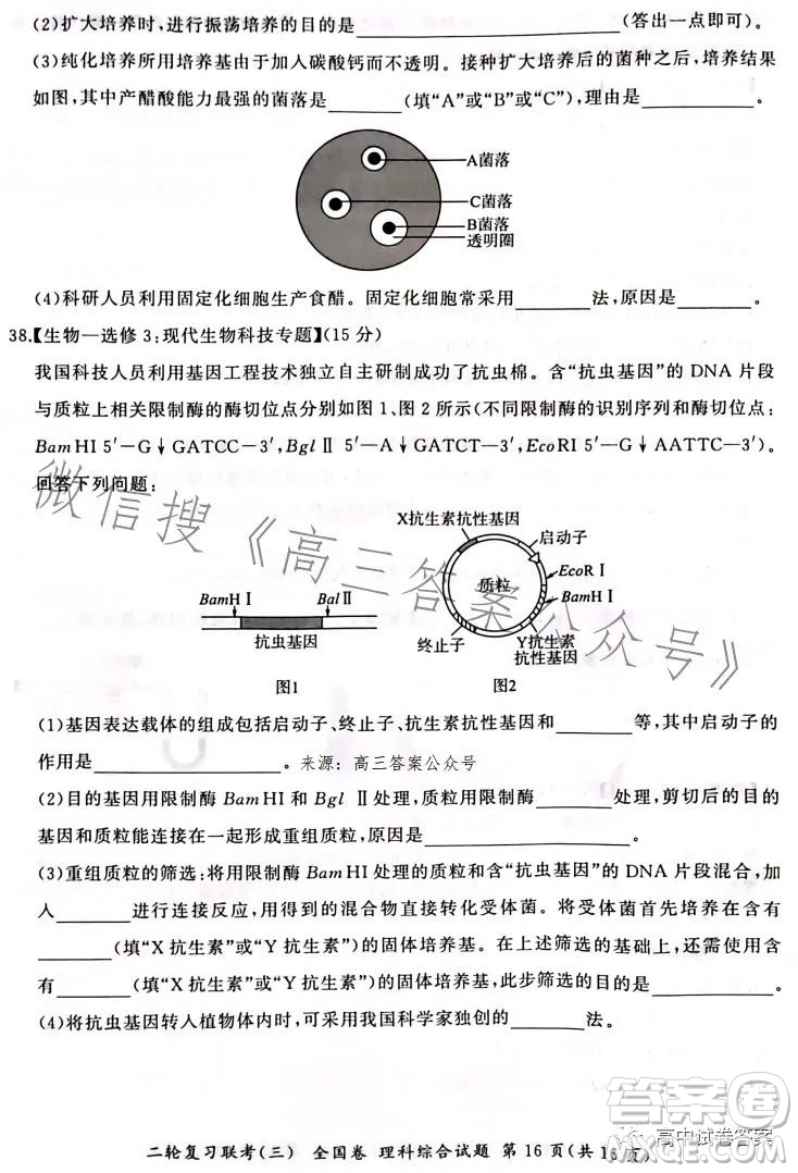 百師聯(lián)盟2023屆高三二輪復(fù)習(xí)聯(lián)考三全國卷理科綜合試題答案