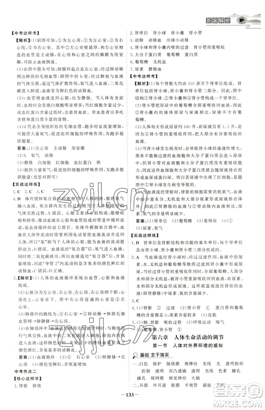 河北少年兒童出版社2023世紀(jì)金榜金榜學(xué)案七年級下冊生物人教版河南專版參考答案