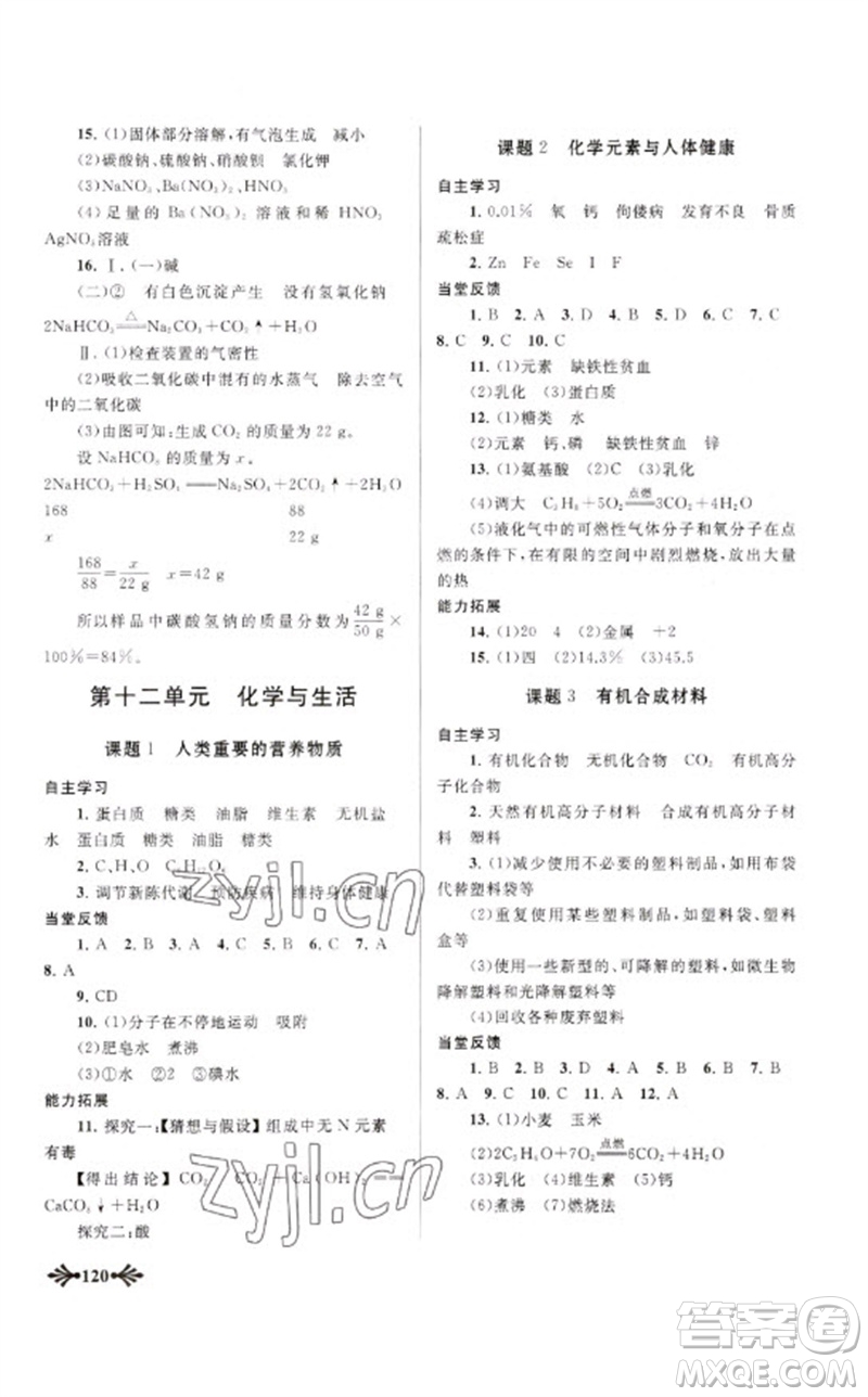 黃山書社2023自主學習當堂反饋九年級化學下冊人教版參考答案