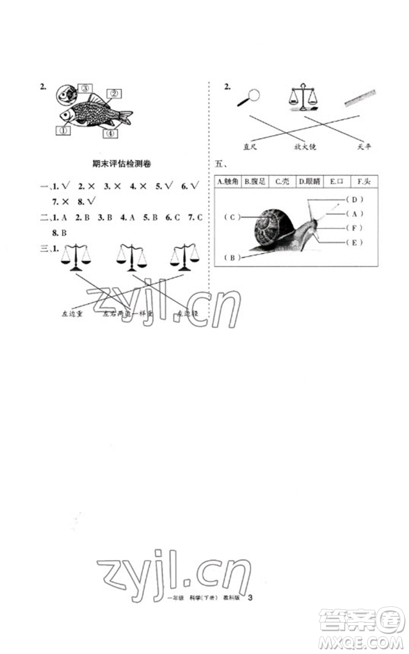 寧夏人民教育出版社2023學(xué)習(xí)之友一年級(jí)科學(xué)下冊(cè)教科版參考答案