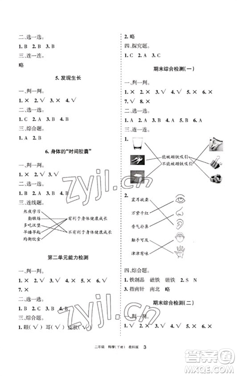 寧夏人民教育出版社2023學(xué)習(xí)之友二年級科學(xué)下冊教科版參考答案