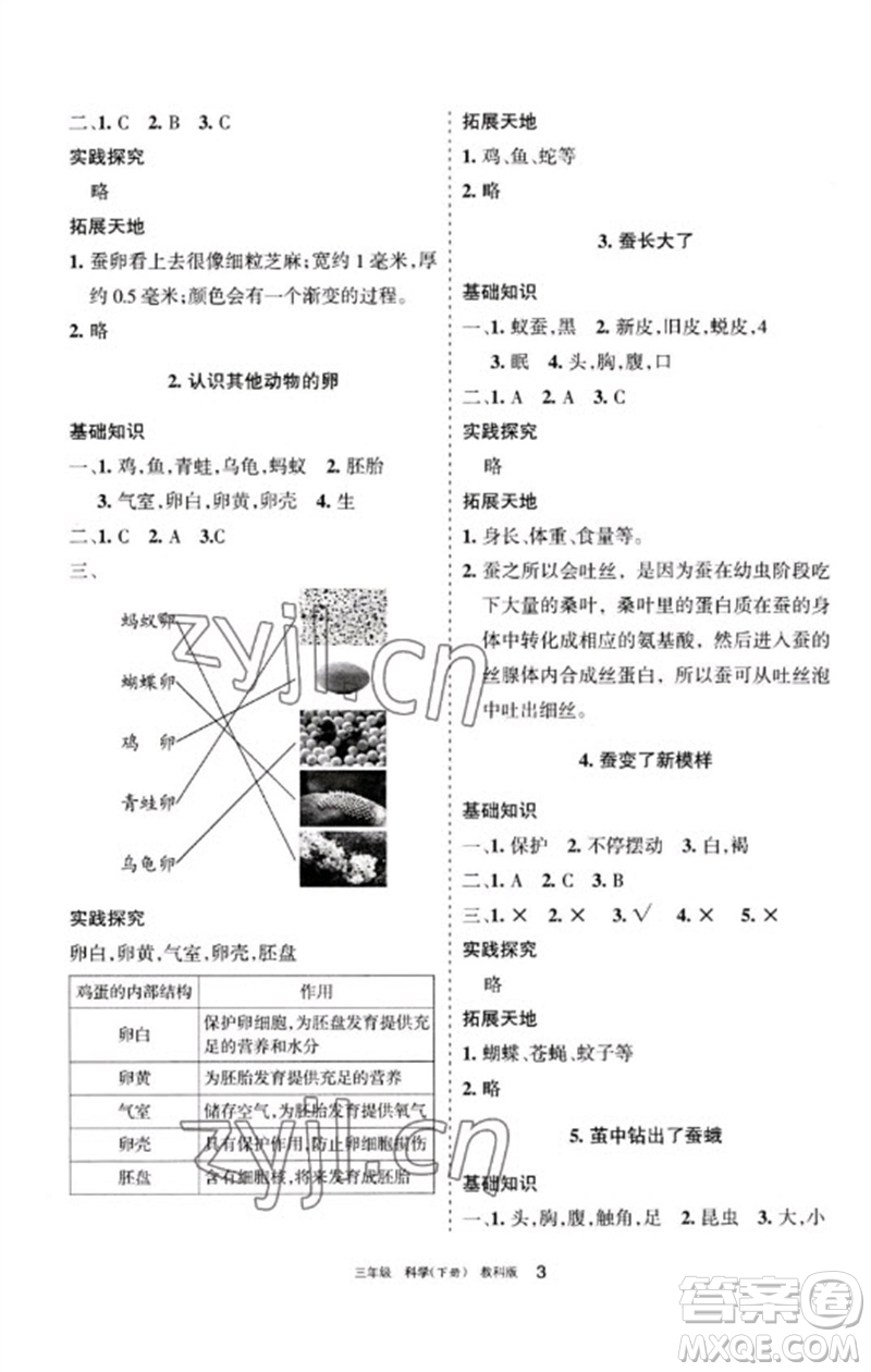 寧夏人民教育出版社2023學習之友三年級科學下冊教科版參考答案