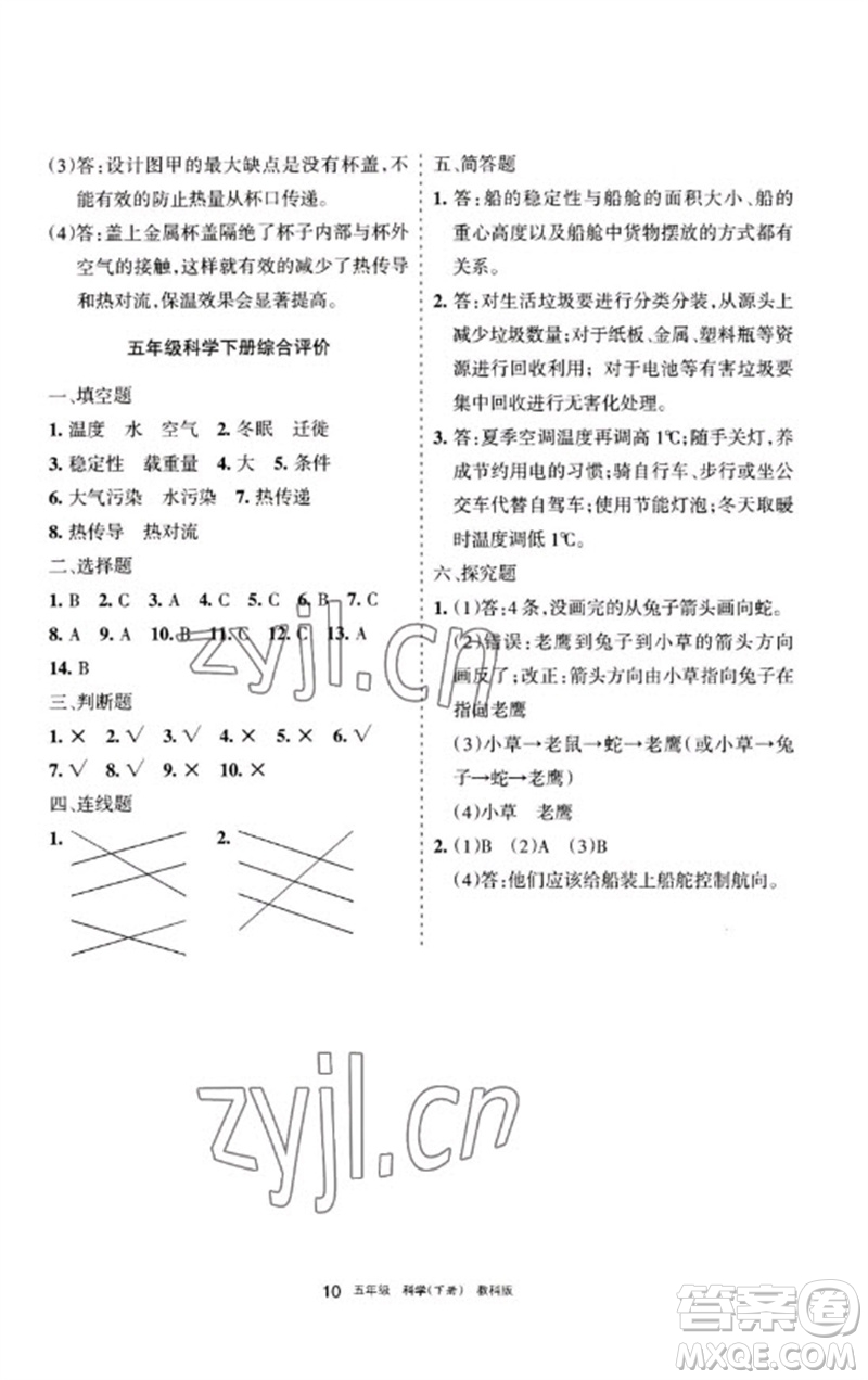 寧夏人民教育出版社2023學(xué)習(xí)之友五年級科學(xué)下冊教科版參考答案