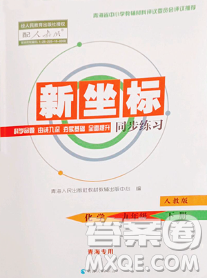 青海人民出版社2023新坐標(biāo)同步練習(xí)九年級(jí)下冊(cè)化學(xué)人教版青海專(zhuān)用參考答案