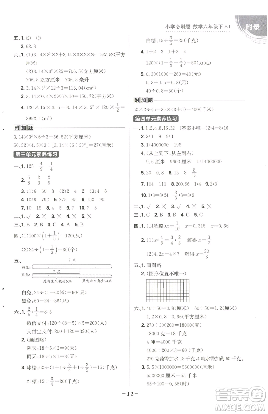 首都師范大學(xué)出版社2023小學(xué)必刷題六年級(jí)下冊(cè)數(shù)學(xué)人教版參考答案