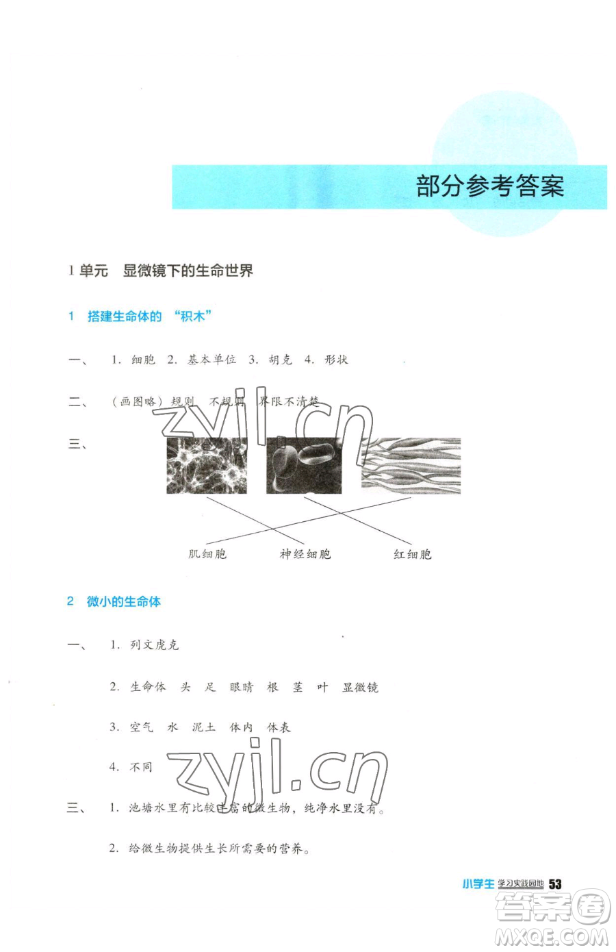 四川教育出版社2023新課標小學生學習實踐園地五年級下冊科學蘇教版參考答案