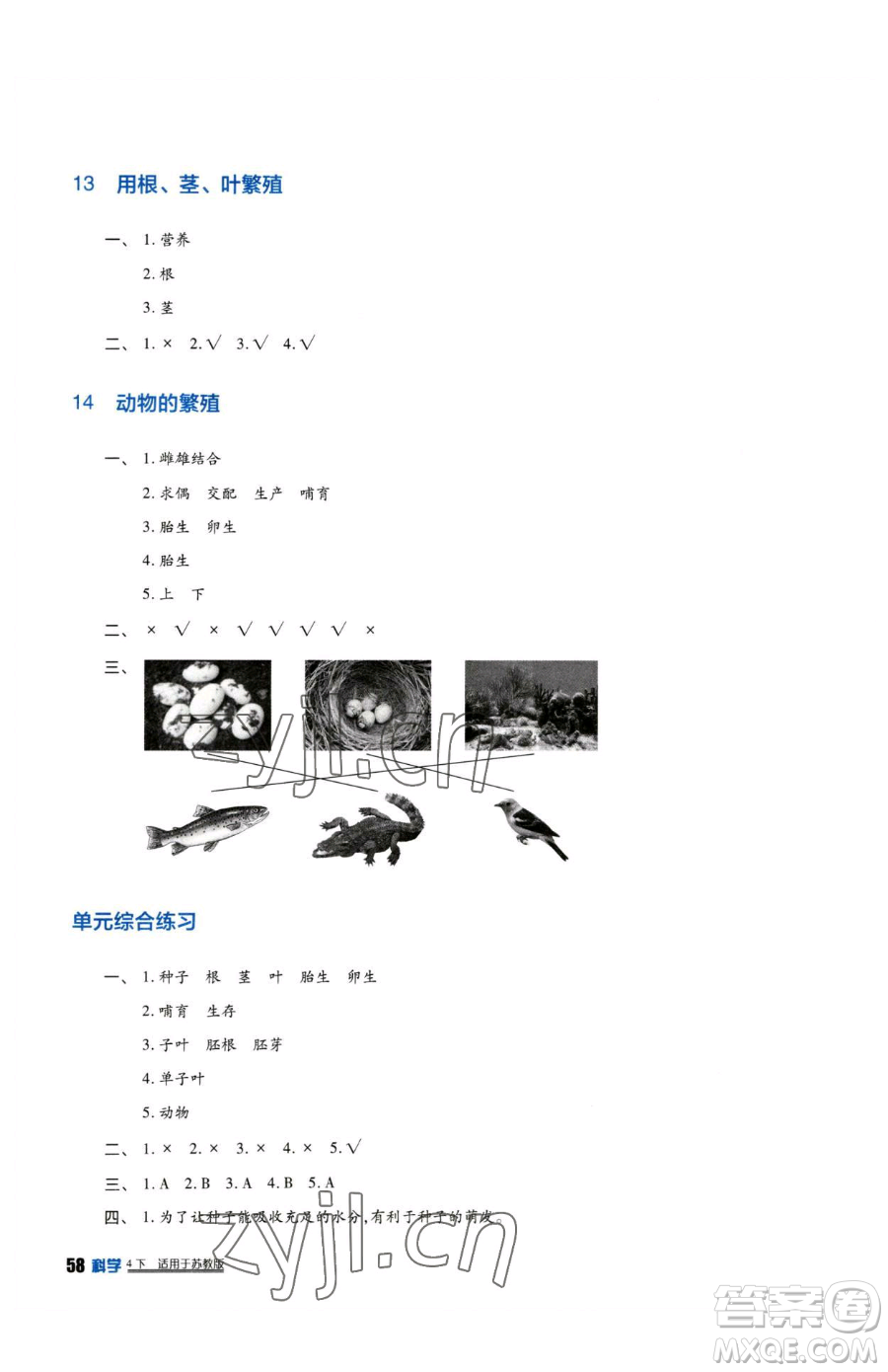 四川教育出版社2023新課標(biāo)小學(xué)生學(xué)習(xí)實(shí)踐園地四年級(jí)下冊(cè)科學(xué)蘇教版參考答案