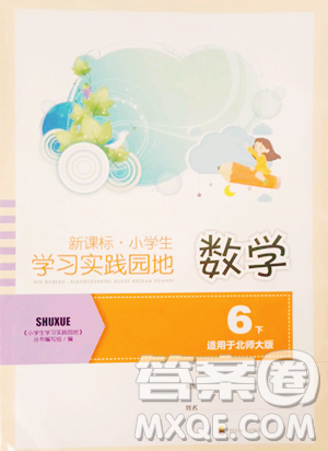 四川教育出版社2023新課標小學生學習實踐園地六年級下冊數(shù)學北師大版參考答案