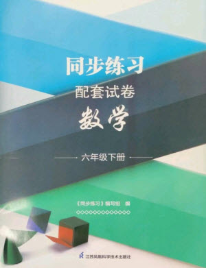 江蘇鳳凰科學(xué)技術(shù)出版社2023同步練習(xí)配套試卷六年級數(shù)學(xué)下冊蘇教版參考答案