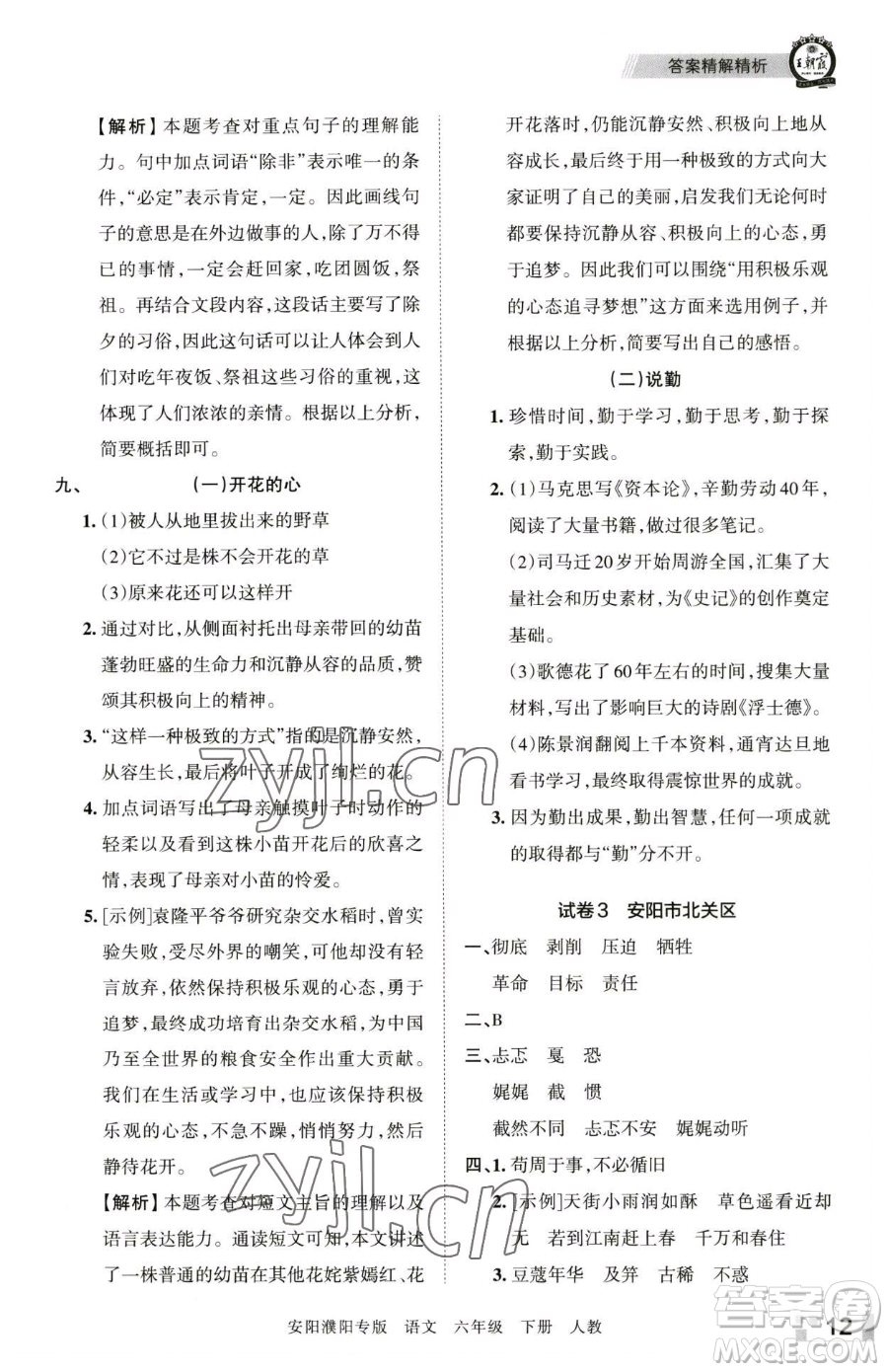 江西人民出版社2023王朝霞期末真題精編六年級(jí)下冊(cè)語(yǔ)文人教版安濮專版參考答案