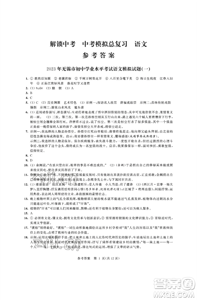 江蘇鳳凰科學(xué)技術(shù)出版社2023多維互動(dòng)提優(yōu)課堂中考模擬總復(fù)習(xí)九年級(jí)語(yǔ)文人教版參考答案