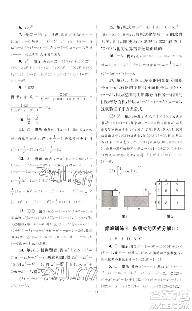 江蘇鳳凰科學(xué)技術(shù)出版社2023初中數(shù)學(xué)小題狂做七年級(jí)下冊(cè)蘇科版巔峰版參考答案