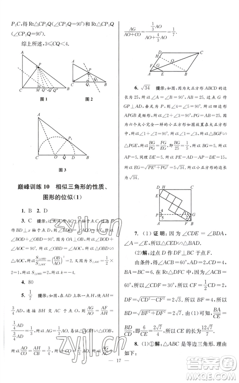 江蘇鳳凰科學(xué)技術(shù)出版社2023初中數(shù)學(xué)小題狂做九年級(jí)下冊(cè)蘇科版巔峰版參考答案