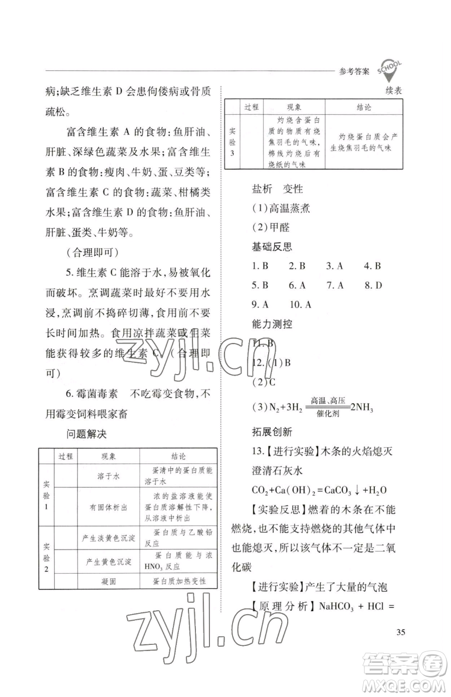 山西教育出版社2023新課程問題解決導學方案九年級下冊化學滬教版參考答案