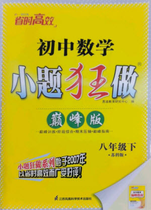 江蘇鳳凰科學(xué)技術(shù)出版社2023初中數(shù)學(xué)小題狂做八年級(jí)下冊蘇科版巔峰版參考答案