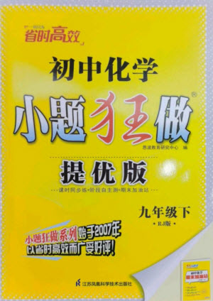 江蘇鳳凰科學(xué)技術(shù)出版社2023初中化學(xué)小題狂做九年級下冊人教版提優(yōu)版參考答案