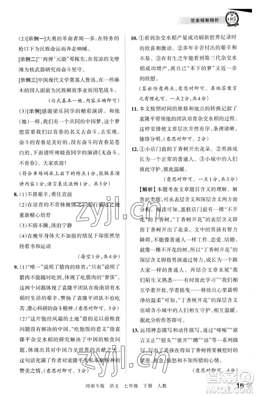 江西人民出版社2023王朝霞各地期末試卷精選七年級下冊語文人教版河南專版參考答案