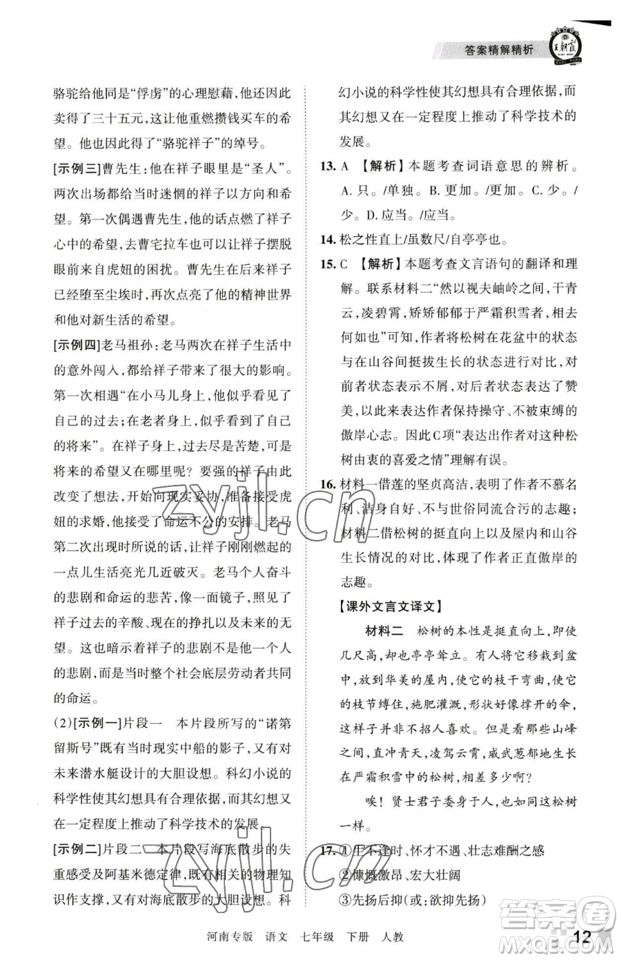 江西人民出版社2023王朝霞各地期末試卷精選七年級下冊語文人教版河南專版參考答案