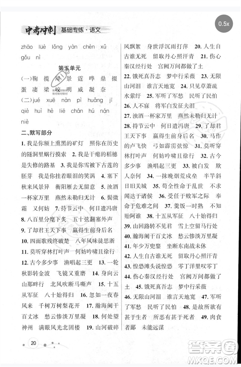 遼寧大學(xué)出版社2023年大連中考沖刺基礎(chǔ)專練九年級(jí)語文通用版參考答案