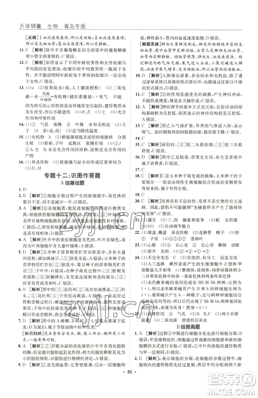 新疆青少年出版社2023升學錦囊九年級全一冊生物青島專版參考答案