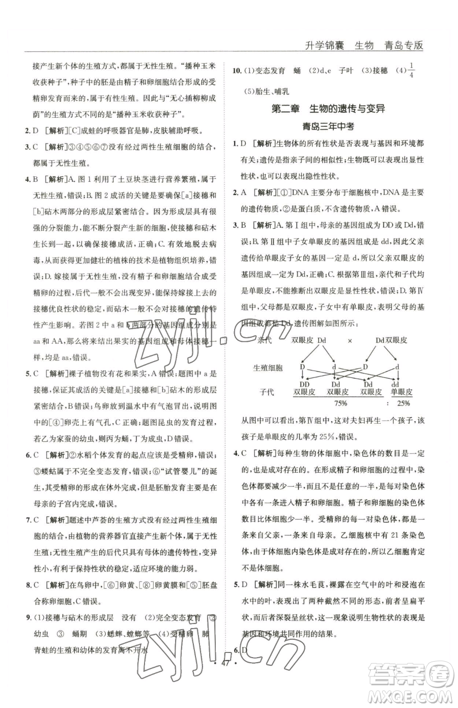 新疆青少年出版社2023升學錦囊九年級全一冊生物青島專版參考答案