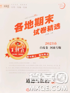 江西人民出版社2023王朝霞各地期末試卷精選八年級(jí)下冊(cè)道德與法治人教版河南專版參考答案