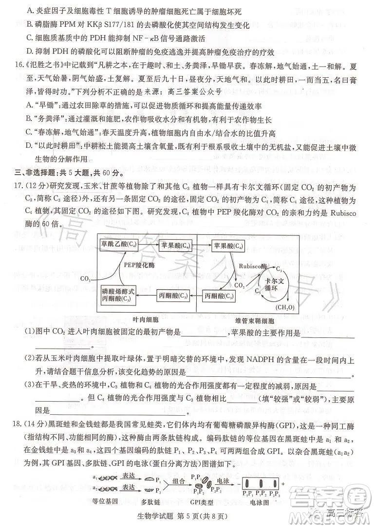 名校聯(lián)考聯(lián)合體2023年春季高二期末聯(lián)考暨新高三適應(yīng)性聯(lián)合考試生物學(xué)試卷答案