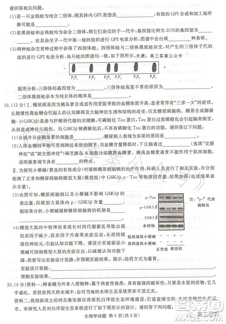 名校聯(lián)考聯(lián)合體2023年春季高二期末聯(lián)考暨新高三適應(yīng)性聯(lián)合考試生物學(xué)試卷答案