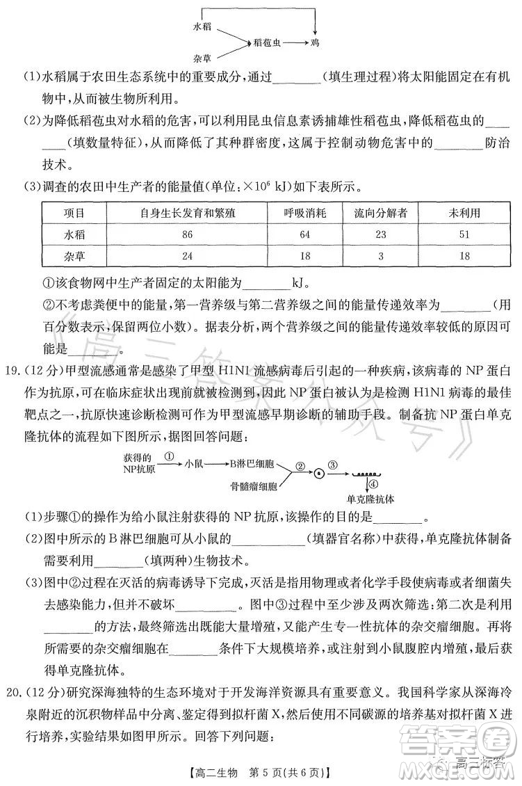 2023江西金太陽聯考高二6月聯考生物學試卷答案