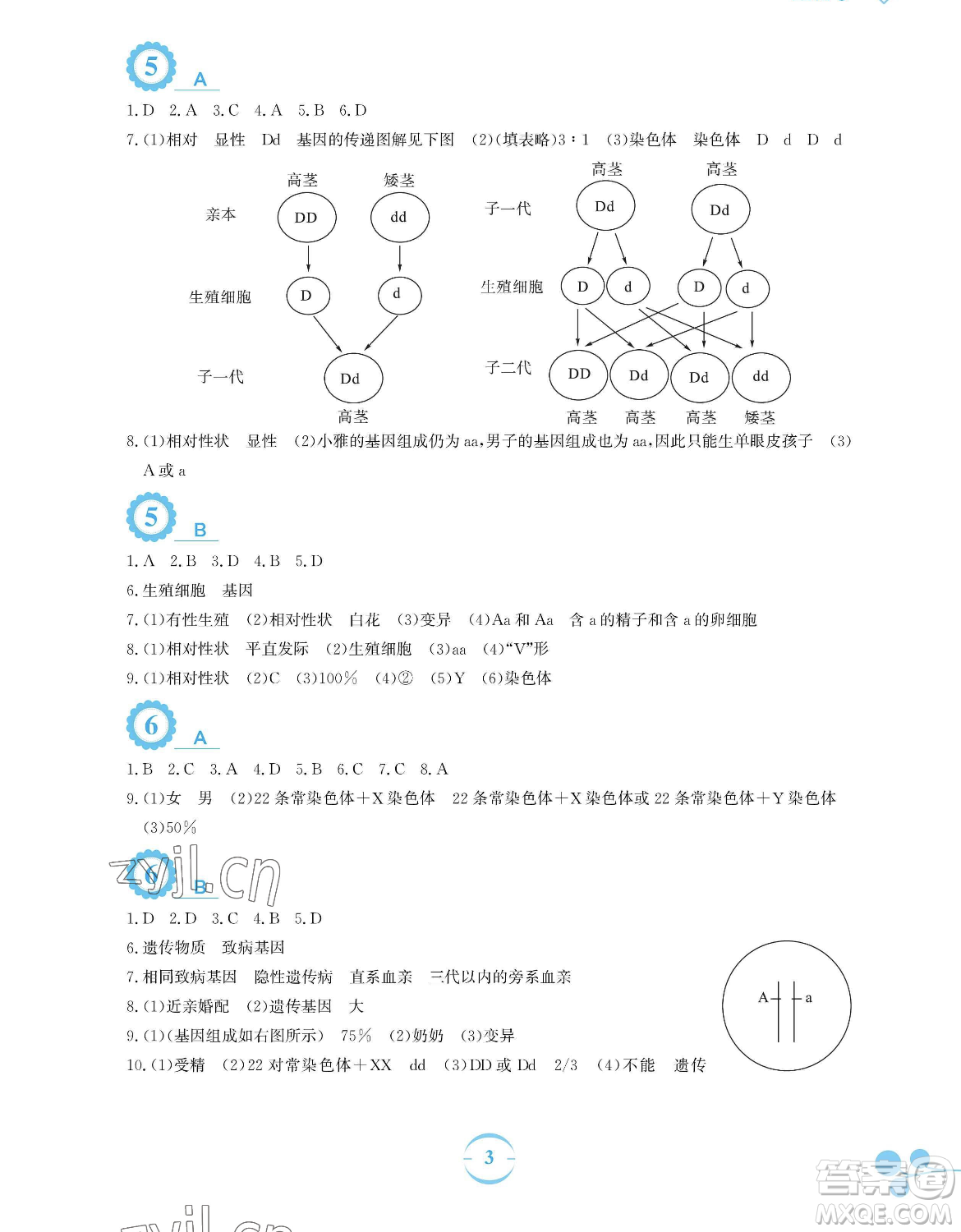 安徽教育出版社2023暑假作業(yè)八年級生物學蘇教版參考答案