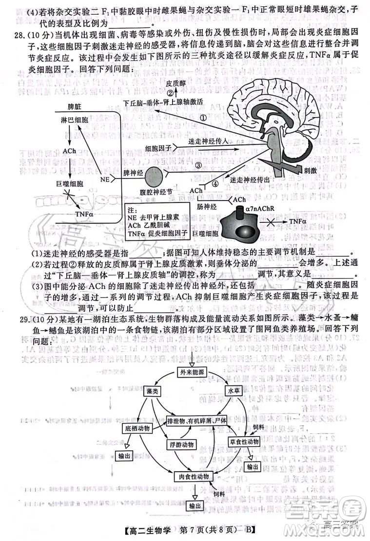 2023年春季學(xué)期高二年級7月質(zhì)量檢測生物試卷答案