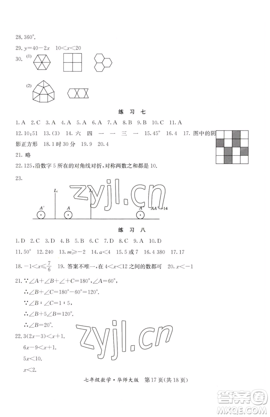 延邊教育出版社2023暑假作業(yè)七年級合訂本華師大版河南專版參考答案