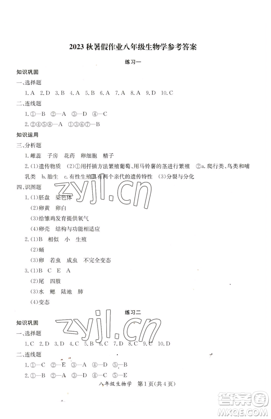 延邊教育出版社2023暑假作業(yè)八年級合訂本華師大版河南專版參考答案