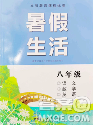 湖南少年兒童出版社2023暑假生活八年級合訂本通用版參考答案