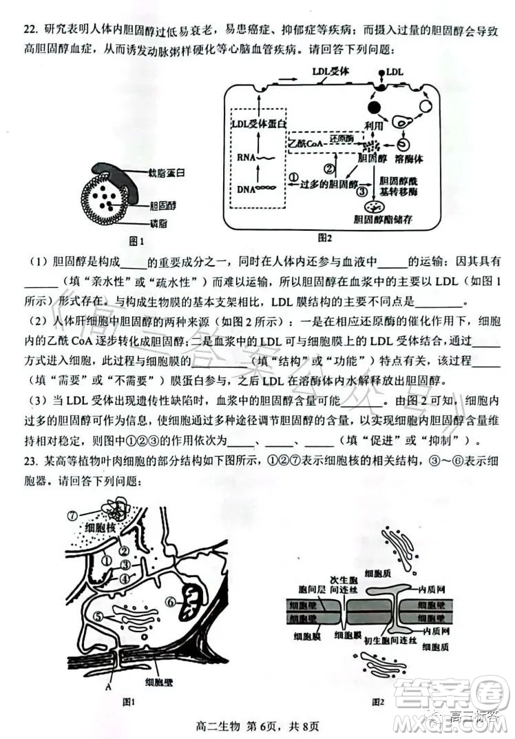 遼寧協(xié)作校2022-2023學(xué)年度下學(xué)期高二期末考試生物學(xué)試卷答案