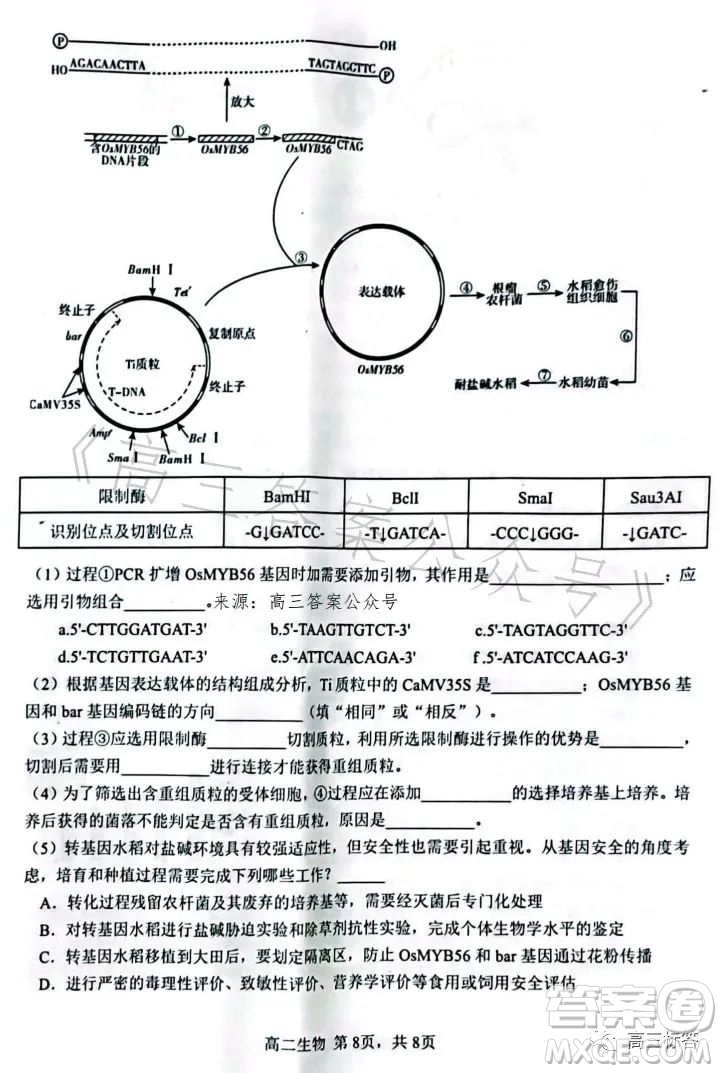 遼寧協(xié)作校2022-2023學(xué)年度下學(xué)期高二期末考試生物學(xué)試卷答案