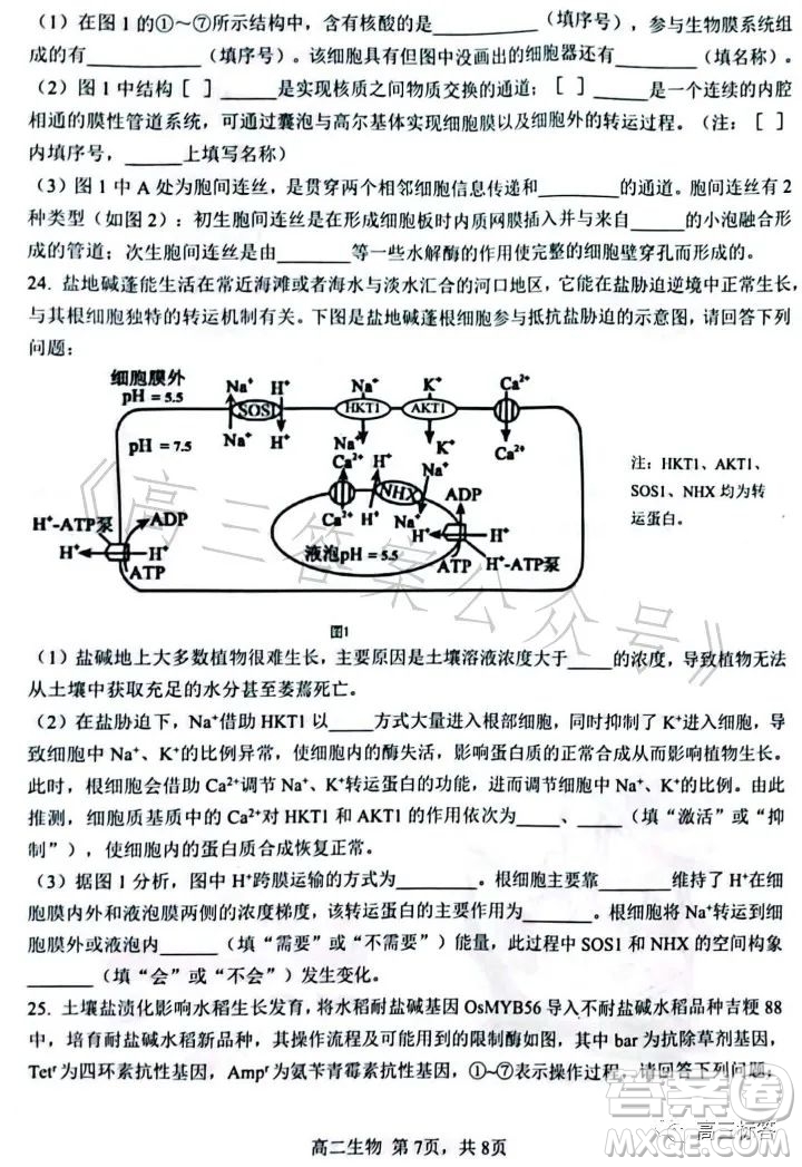 遼寧協(xié)作校2022-2023學(xué)年度下學(xué)期高二期末考試生物學(xué)試卷答案