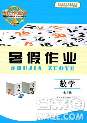 湖北教育出版社2023長江作業(yè)本暑假作業(yè)七年級(jí)數(shù)學(xué)通用版參考答案