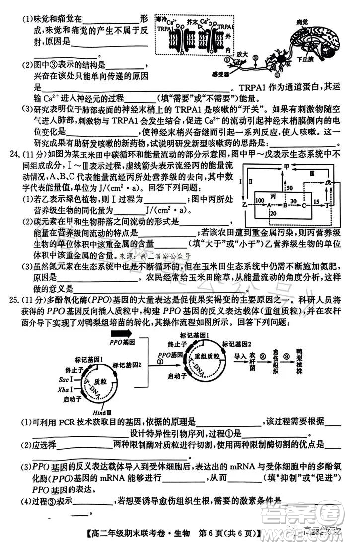 遼寧2023高二下學期期末聯(lián)考卷232755Z生物學試卷答案