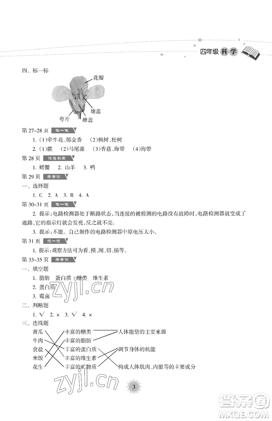 海南出版社2023暑假樂園四年級科學教科版參考答案