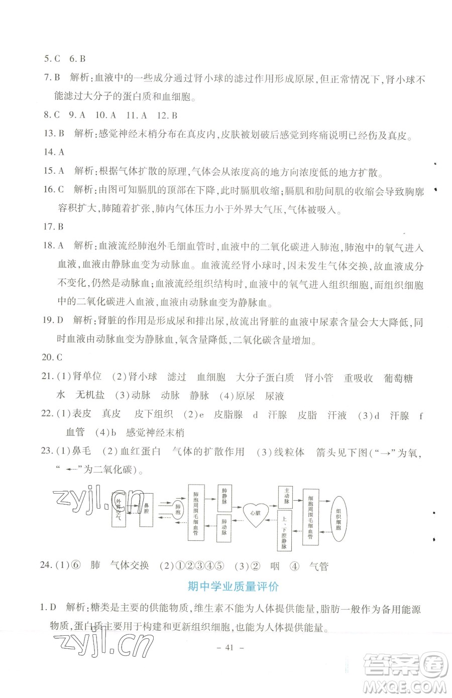 北京師范大學出版社2023課內(nèi)課外直通車七年級下冊生物北師大版福建專版參考答案