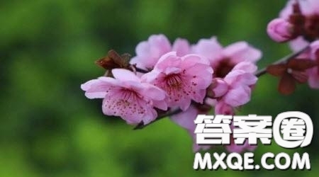 喊出幸福的名字為題作文600字 關(guān)于喊出幸福的名字為題的作文600字