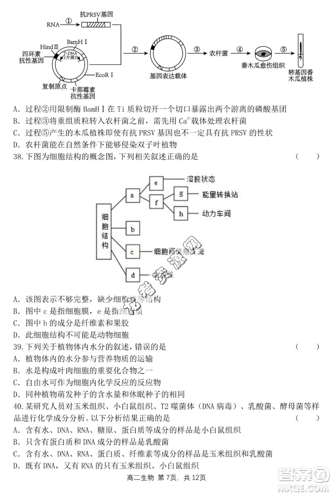 哈三中2022—2023學(xué)年高二下學(xué)期期末考試生物試卷答案