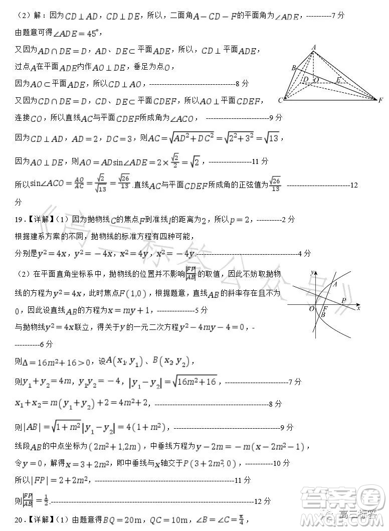 深圳外國語學校2024屆高三第一次月考數(shù)學試題答案