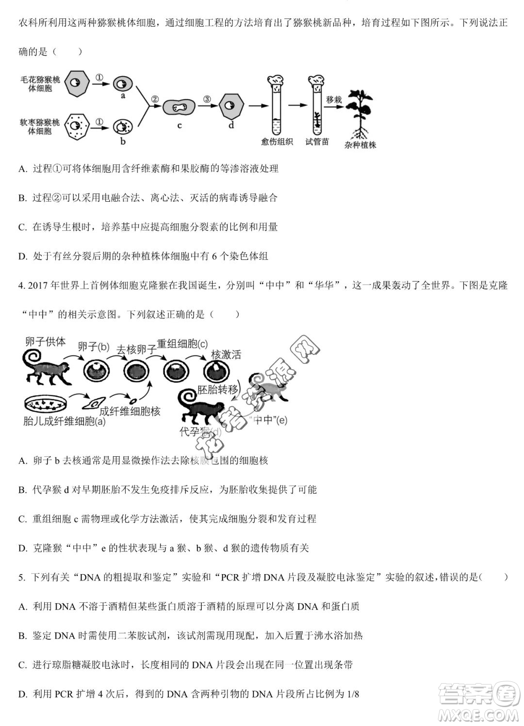 大慶實驗中學2022-2023學年高二下學期期末考試生物試題答案