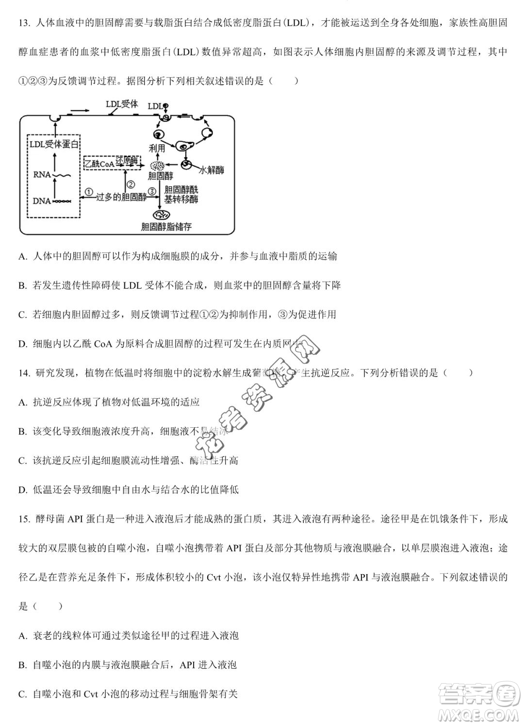 大慶實驗中學2022-2023學年高二下學期期末考試生物試題答案