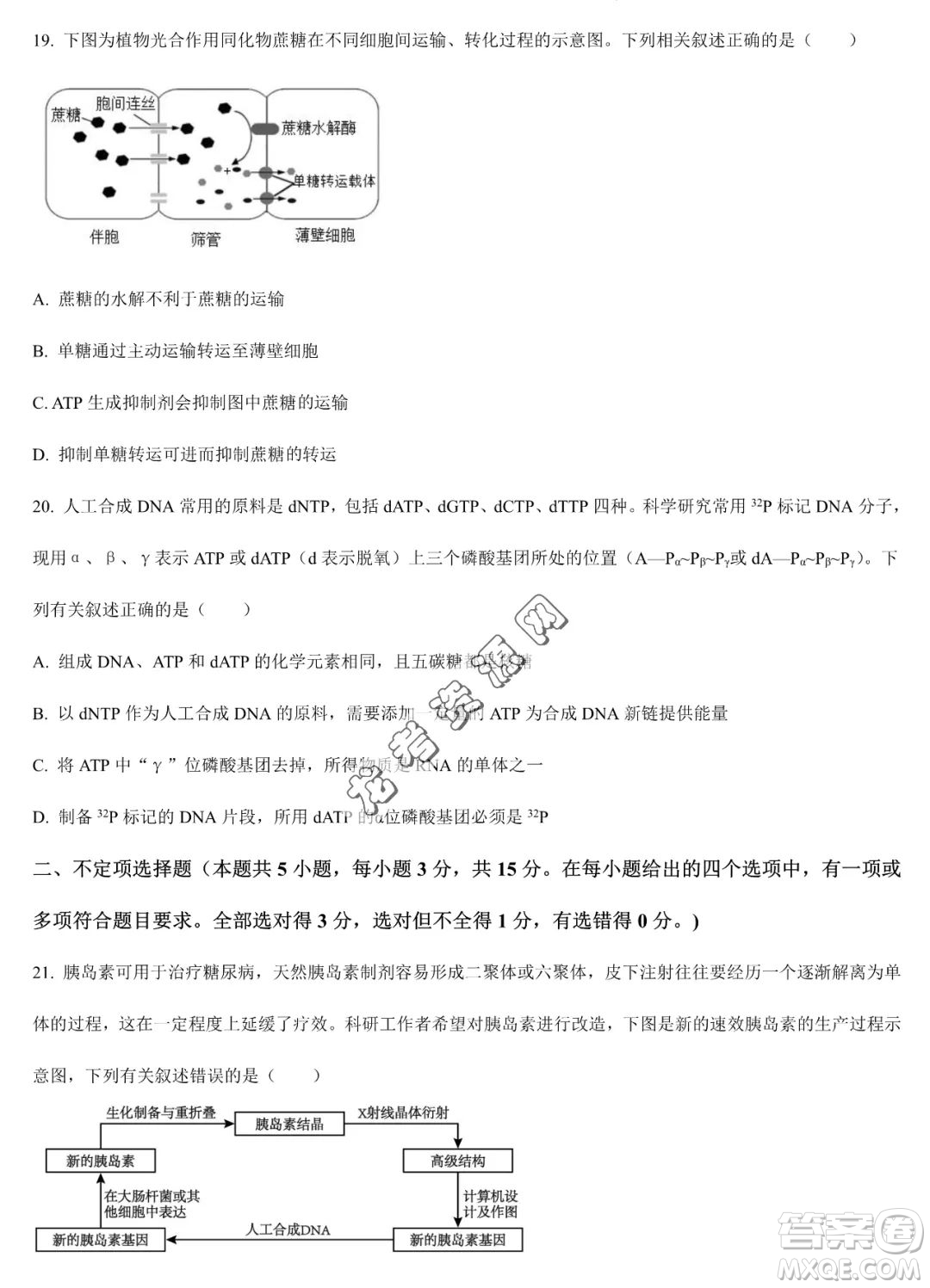 大慶實驗中學2022-2023學年高二下學期期末考試生物試題答案