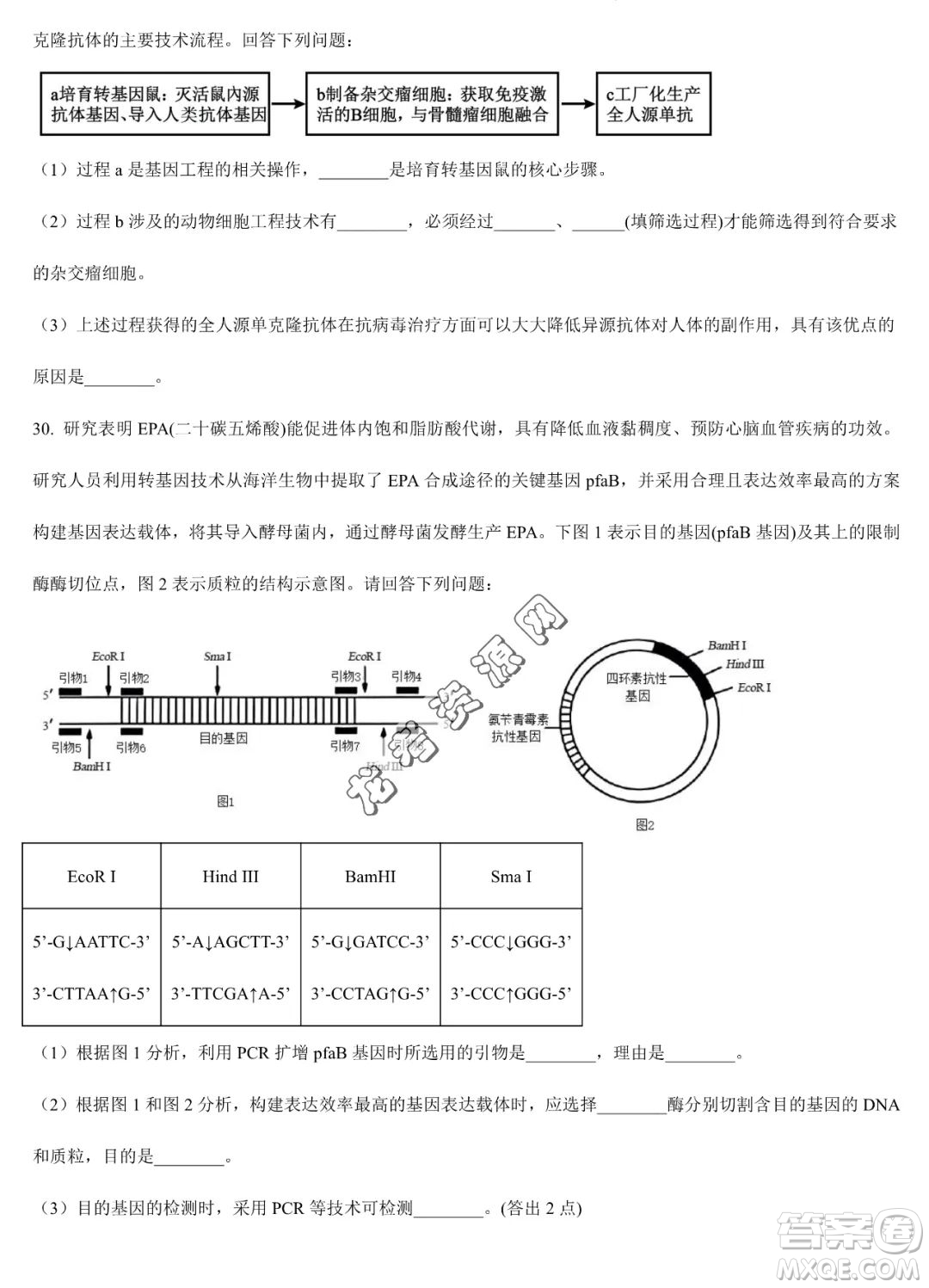 大慶實驗中學2022-2023學年高二下學期期末考試生物試題答案